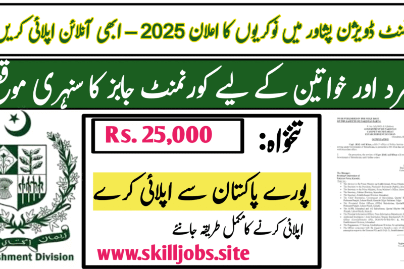 Establishment Division Peshawar Jobs 2025 – Apply Now for Government Driver Vacancy in KPK